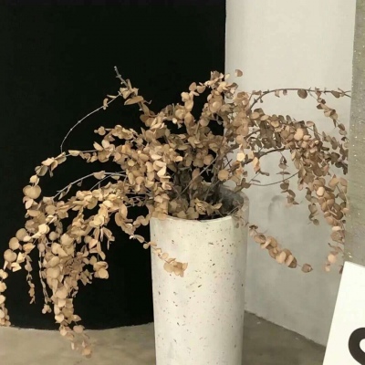 徐汇FurryQQ群介绍